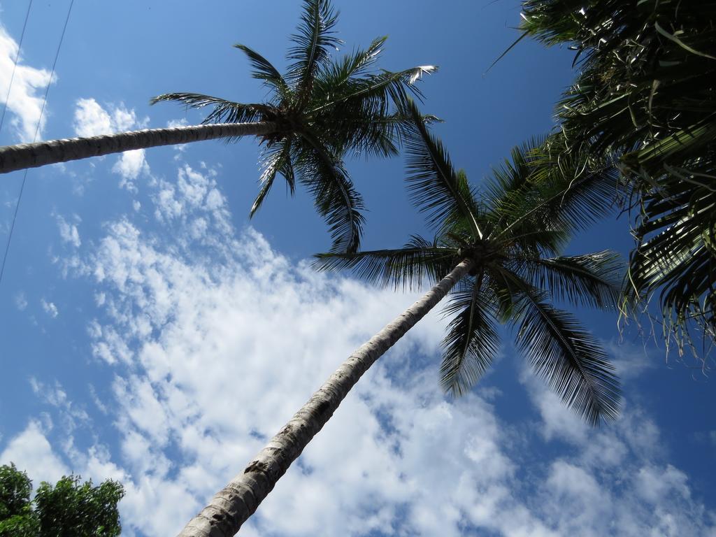 Eco Hotel Las Palmas Puerto Espejo エクステリア 写真
